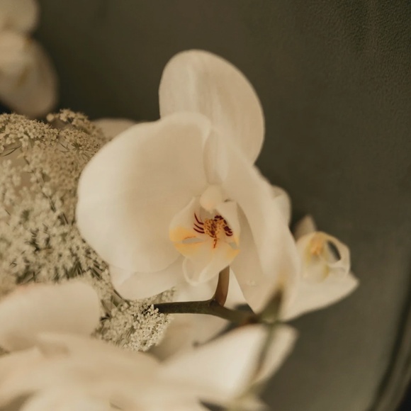 Sand + Fog Fleur de Vanille 50 ml Perfume Oil Dropper - Picture 3 of 6